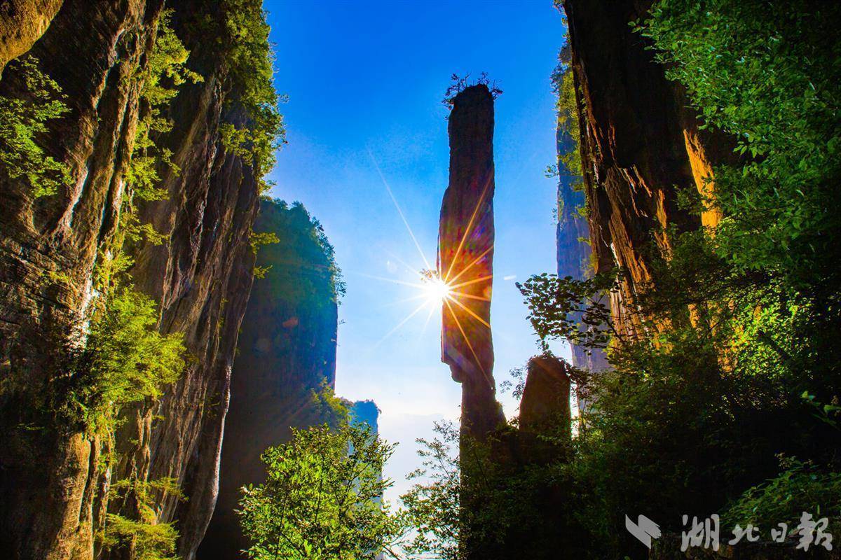 大圣闹海游戏平台